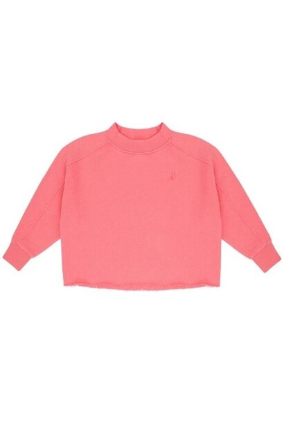 Jenest billie sweater fresh pink | trui