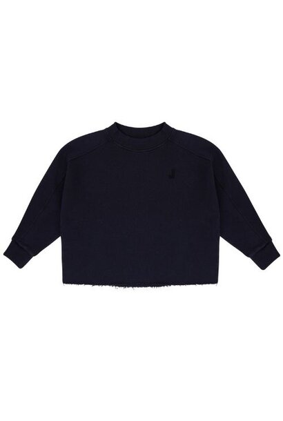 Jenest billie sweater navy blue | trui