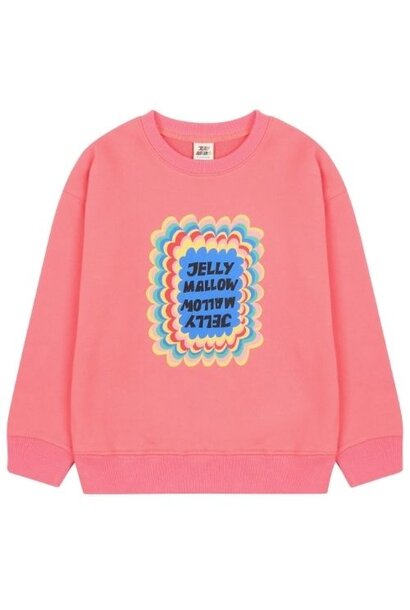 Jelly Mallow jellymallow zigzag sweatshirt pink | trui