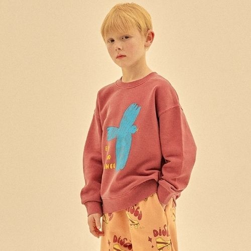 Jelly Mallow flying bird pigment sweatshirt burgundy | trui-2