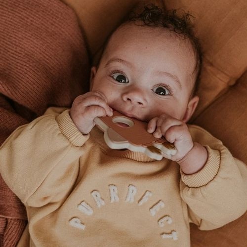 Sproet & Sprout baby sweatshirt purrrfect sand | trui-2