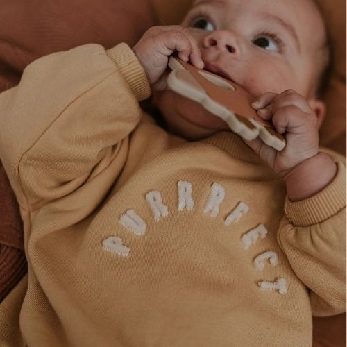 Sproet & Sprout baby sweatshirt purrrfect sand | trui-3