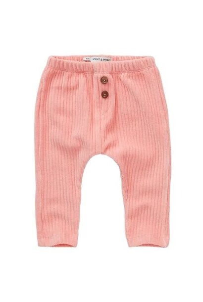 Sproet & Sprout baby pants velvet rib peach parfait | broek