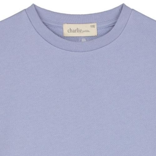 Charlie Petite hedi sweater lila | trui-2