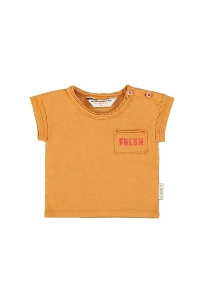 Piupiuchick baby t-shirt camel w/ strawberry print