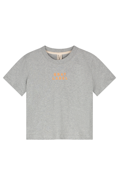 Gray Label oversized tee 15Y anniversary grey melange - bright melon tshirt