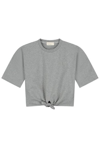 Charlie Petite esmee t-shirt grey melange