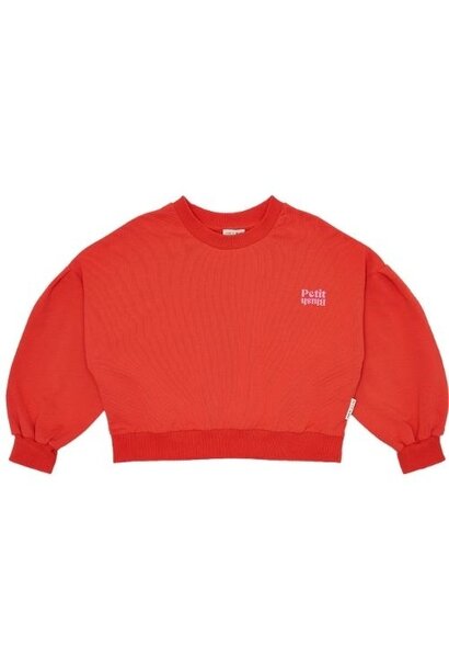 Petit Blush easy sweater grenadine - trui