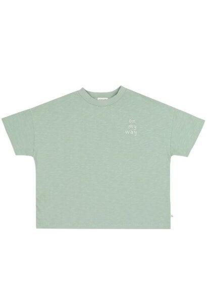 Jenest ben oversized t-shirt sage green