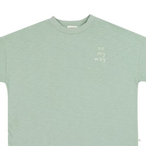 Jenest ben oversized t-shirt sage green-4