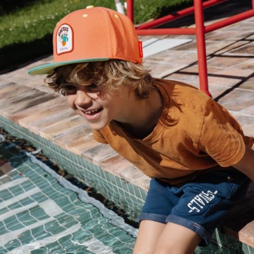 Hello Hossy cap cactus - pet-2