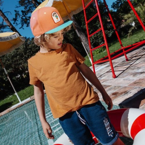 Hello Hossy cap cactus - pet-4