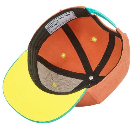 Hello Hossy cap cactus - pet-6