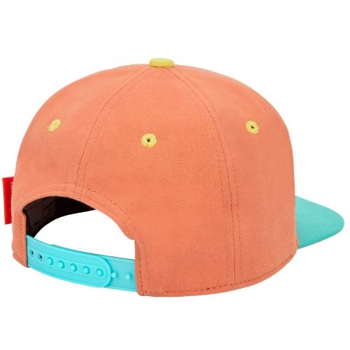 Hello Hossy cap cactus - pet-5