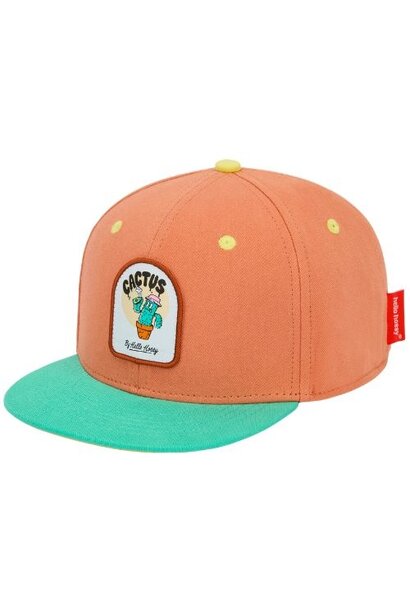 Hello Hossy cap cactus - pet