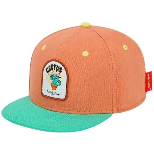 Hello Hossy cap cactus - pet-1