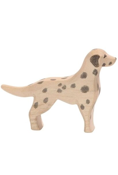 Ostheimer dalmatier