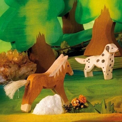 Ostheimer dalmatier-2