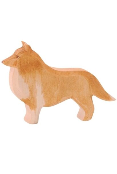 Ostheimer collie