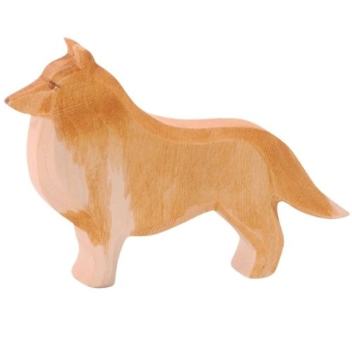 Ostheimer collie-1