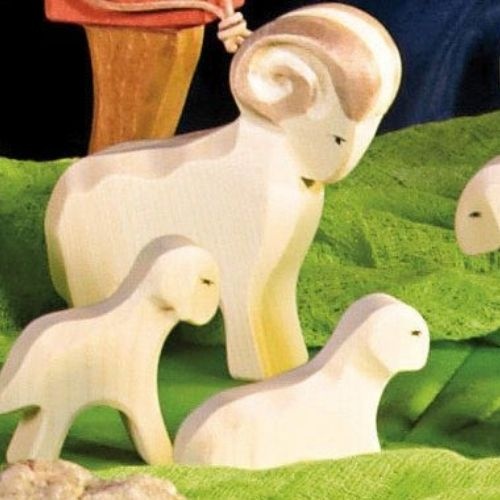 Ostheimer schaap staand-2