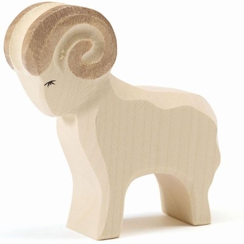 Ostheimer ram-1