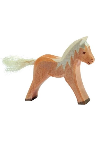 Ostheimer haflinger veulen