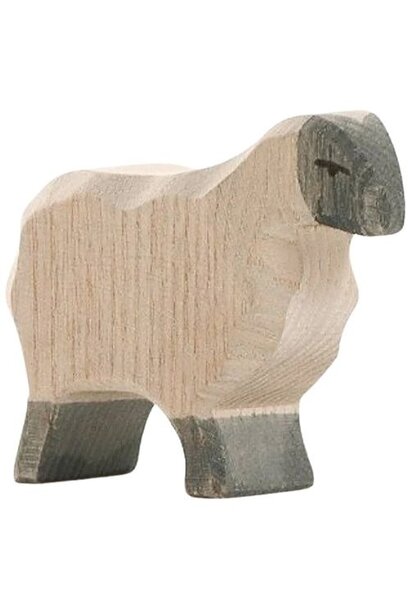 Ostheimer heideschaap