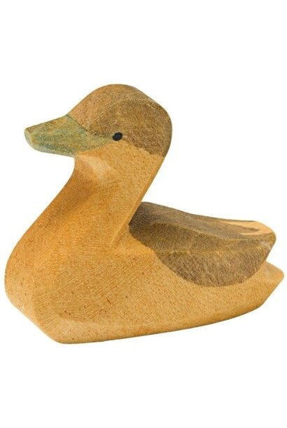 Ostheimer canadese gans klein