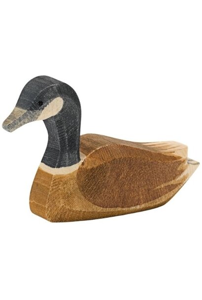 Ostheimer canadese gans zwemmend