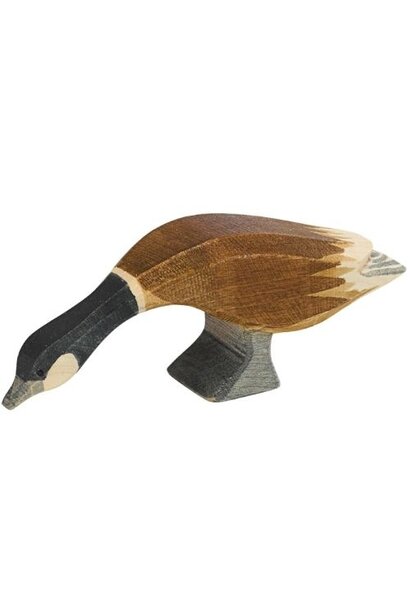 Ostheimer canadese gans lange hals