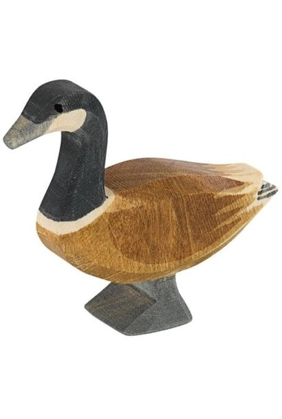 Ostheimer canadese gans staand