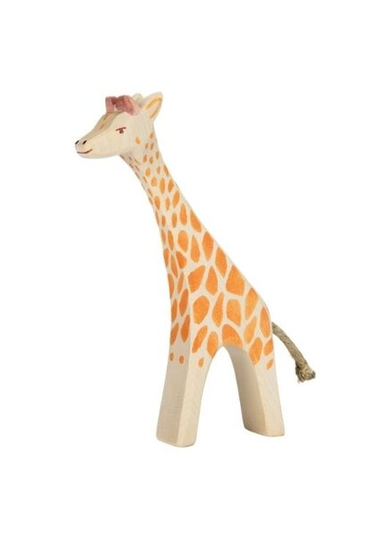 Ostheimer giraffe groot lopend