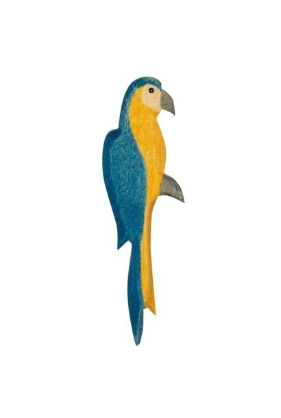 Ostheimer papagaai blauw