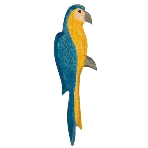 Ostheimer papagaai blauw-1