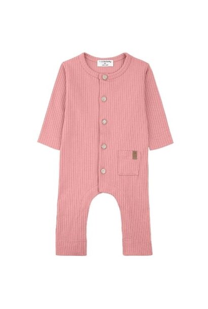 1+ in the family caproig strawberry jumpsuit | boxpakje