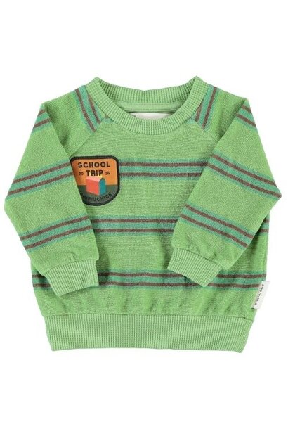 Piupiuchick baby terry cotton sweatshirt green w/ double stripes - trui