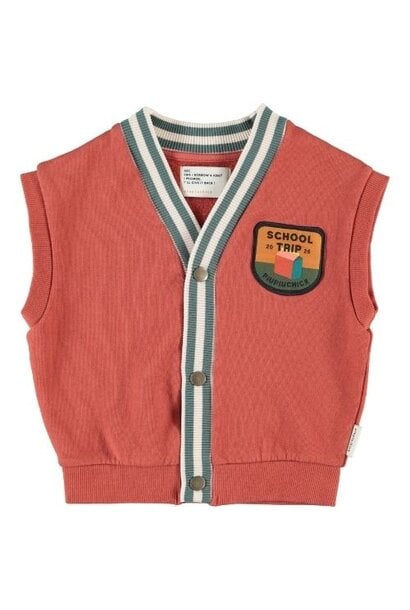 Piupiuchick waistcoat brick