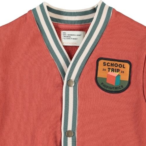 Piupiuchick waistcoat brick-6