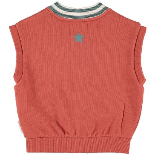 Piupiuchick waistcoat brick-9