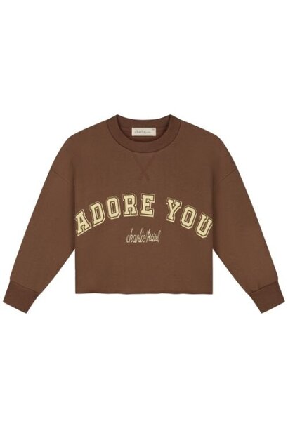 Charlie Petite lux sweater brown - trui