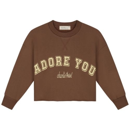 Charlie Petite lux sweater brown - trui-1