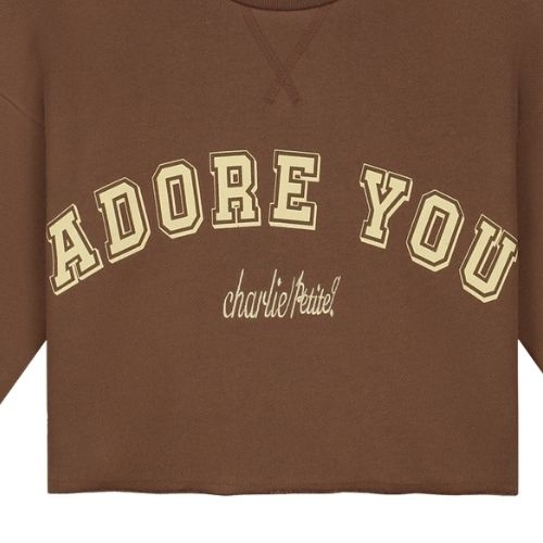 Charlie Petite lux sweater brown - trui-5