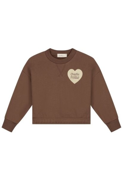 Charlie Petite sara sweater brown - trui