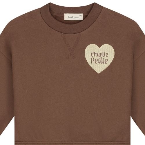 Charlie Petite sara sweater brown - trui-4