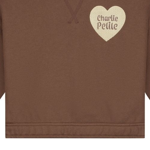 Charlie Petite sara sweater brown - trui-5