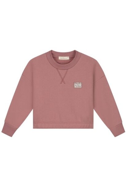 Charlie Petite sara sweater pink - trui