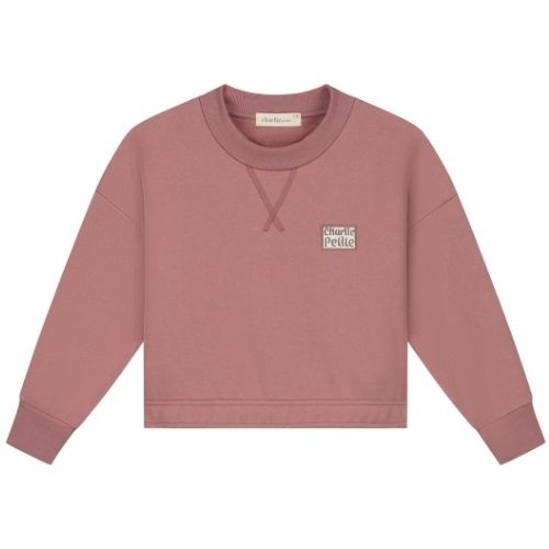 Charlie Petite sara sweater pink - trui-1