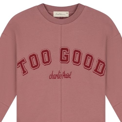 Charlie Petite sam longsleeve pink - shirt-2
