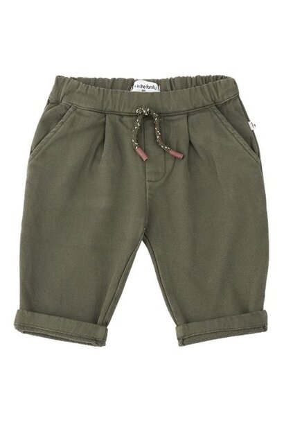 1+ in the family vancouver pants khaki